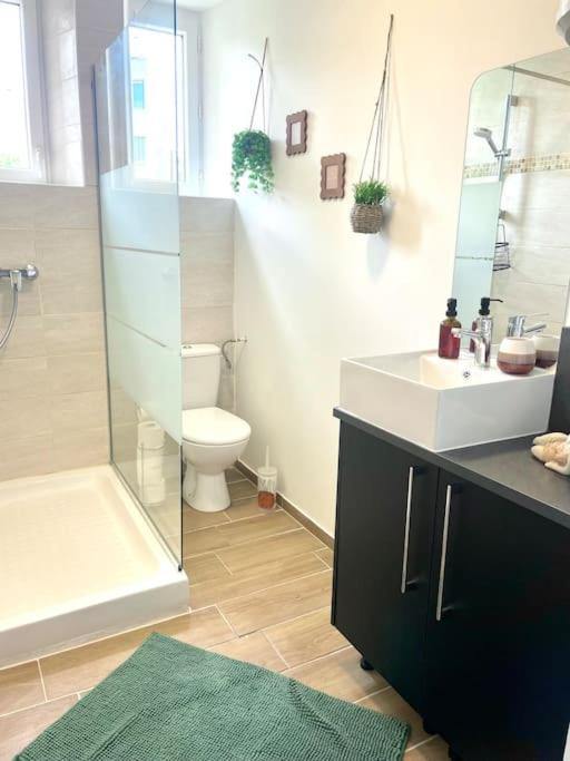 Logement Cosy Et Jardin Saint-Laurent-en-Royans Ngoại thất bức ảnh
